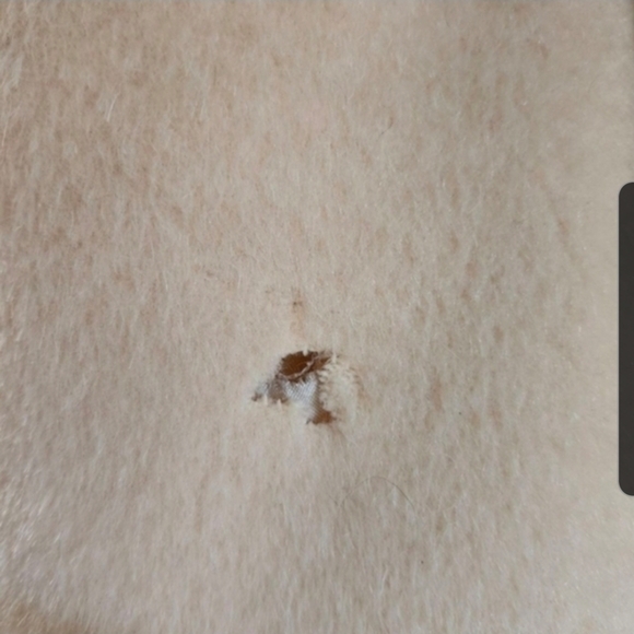 Vintage penny lane coat Ivory Fur Stole, Approximately a Medium - Picture 2 of 6